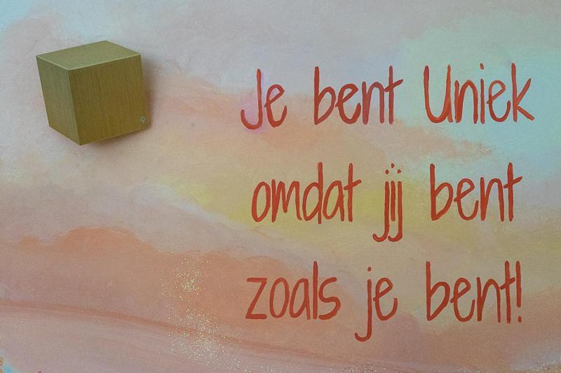 Nieuw: Kom In De Bedstee Uniek! Винтерсвейк Екстериор снимка